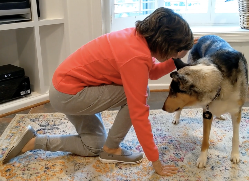 woman on the ground kneeling partially getting up next to a standing service dog